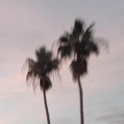 notthenorm_'s profile picture. you completely and utterly fascinate me in a way ive found no other could -a.z