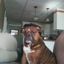 Kaleb Walter - @WalterKaleb - Twitter