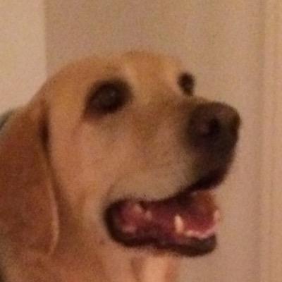 Jack_3535's profile picture. 