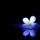 00_DATA_00 (@00data00) Twitter