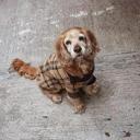 RODOLFO SOLANO CERON - @rodol868 - Twitter