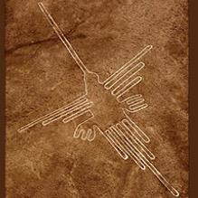 fbcrusoe's profile picture. 