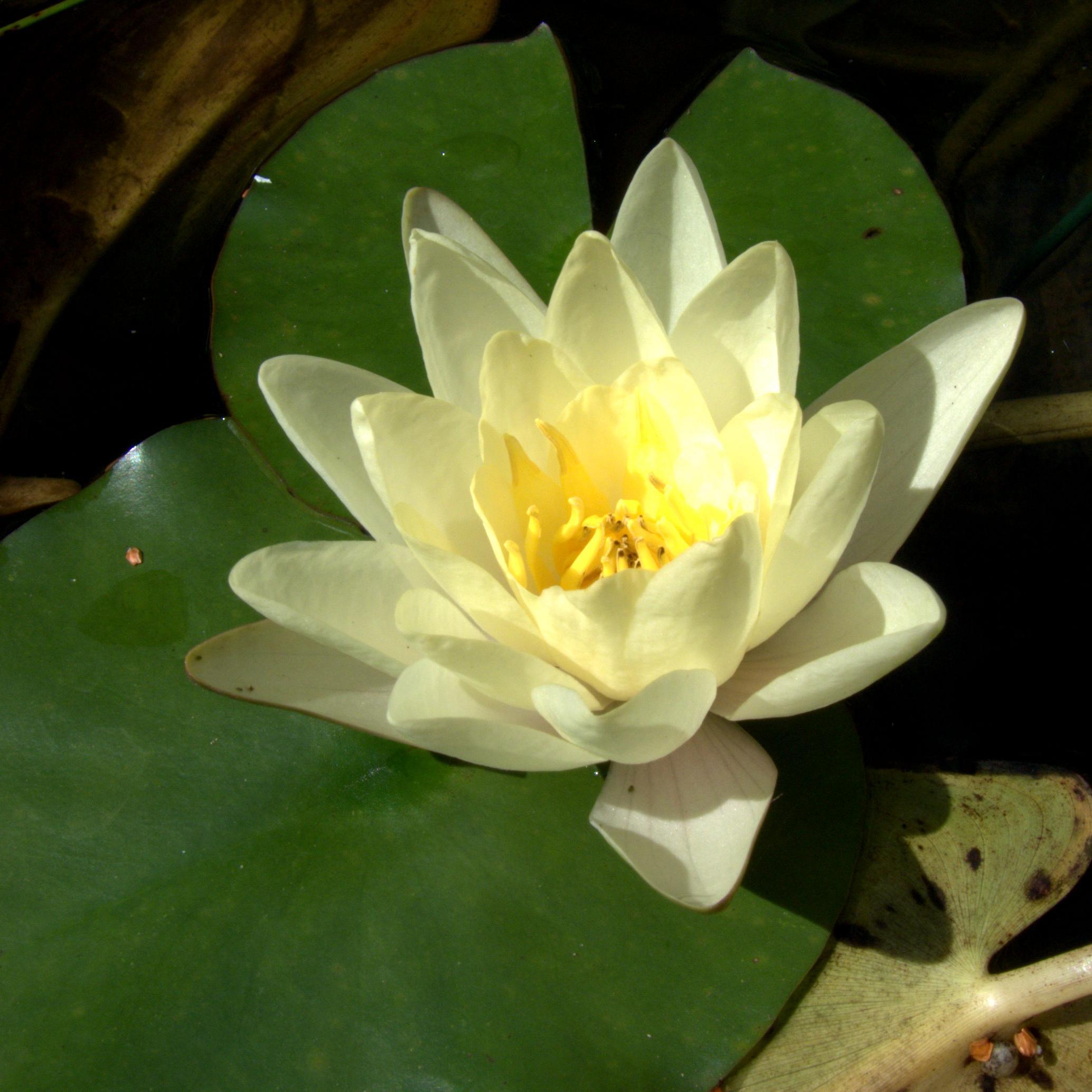 MorissetNursery's profile picture. 