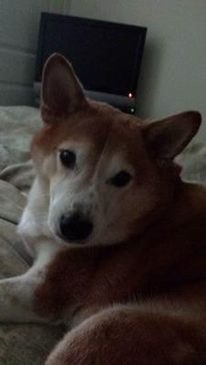 kipperk25's profile picture. Kipper’s Twitter Page