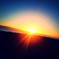 Athena (@tinatchick) 's Twitter Profile Photo