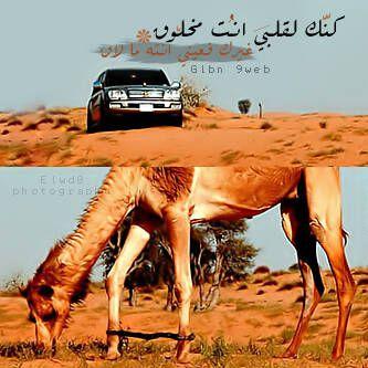 ‏‏داري من العين دار الحسن والزين