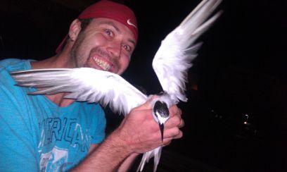 djphos4essence's profile picture. 