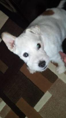 Race12B's profile picture. Artist,morning person,love the sun, starting a non profit, love New York, tall & friendly