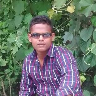 a computer engineer.fiction book lover...enthusiastic cricket fan..movie lover...love to travel to new places...