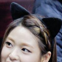 cool cat