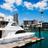 savoycharters's profile image