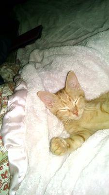 Tex2Indy's profile picture. Participation Trophy Wife