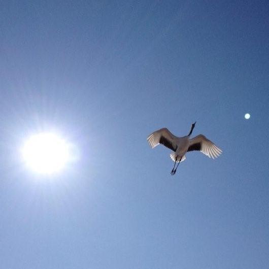 king_hideki's profile picture. 