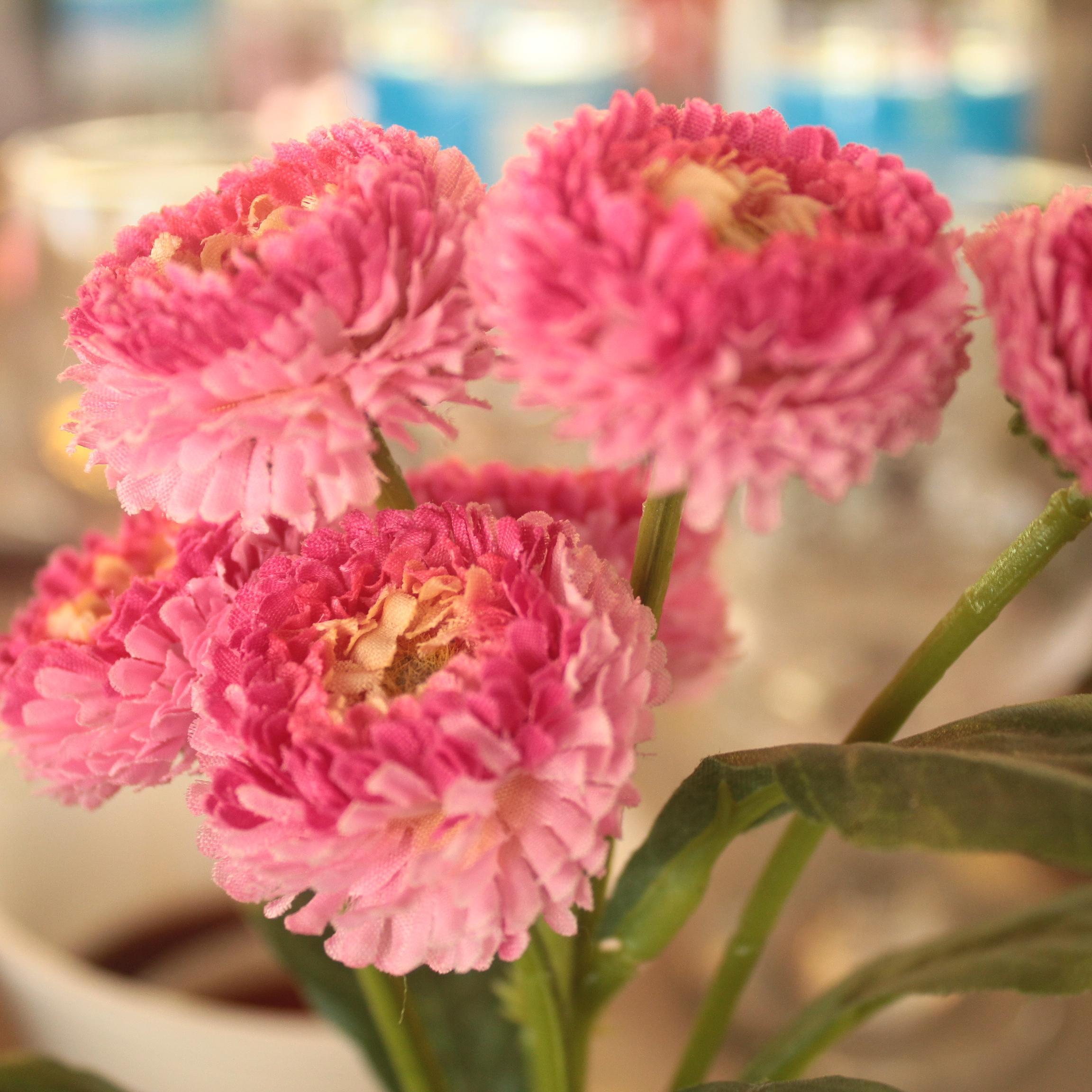 Dantik_puspita's profile picture. Jadikanlah impian itu sebagai target, karena mereka adalah pemacu semangat ketika kaki mulai melamban untuk bergerak.