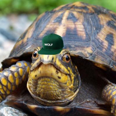 odd future turtle gang
