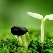 vitcondt08's profile picture. 