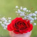 سُميَّة بنت سُلطان (@0000Matam) Twitter