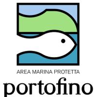 AMP Portofino(@Amp_Portofino) 's Twitter Profileg