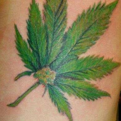 7d189bdcd7664d3's profile picture. 