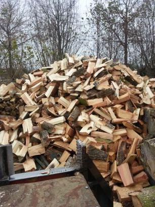 hoshaardhout's profile picture. Haardhout tegen aantrekkelijke prijzen.

http://t.co/2tfHNi4VXG