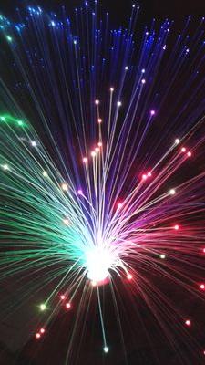 catrooms1's profile picture. 