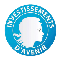 Réseau IDEFI (@reseauidefi) 's Twitter Profile