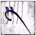 COR FLUMINE (@corflumine) Twitter profile photo