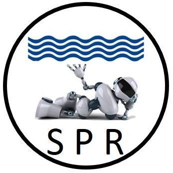 sprobot14's profile picture. Avec ses solutions high-tech d'entretien de piscine Smart Pool Robot vous ouvre les portes d'un monde d'efficacité et de d'efficience.