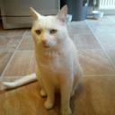 carol robb - @caen1972 - Twitter