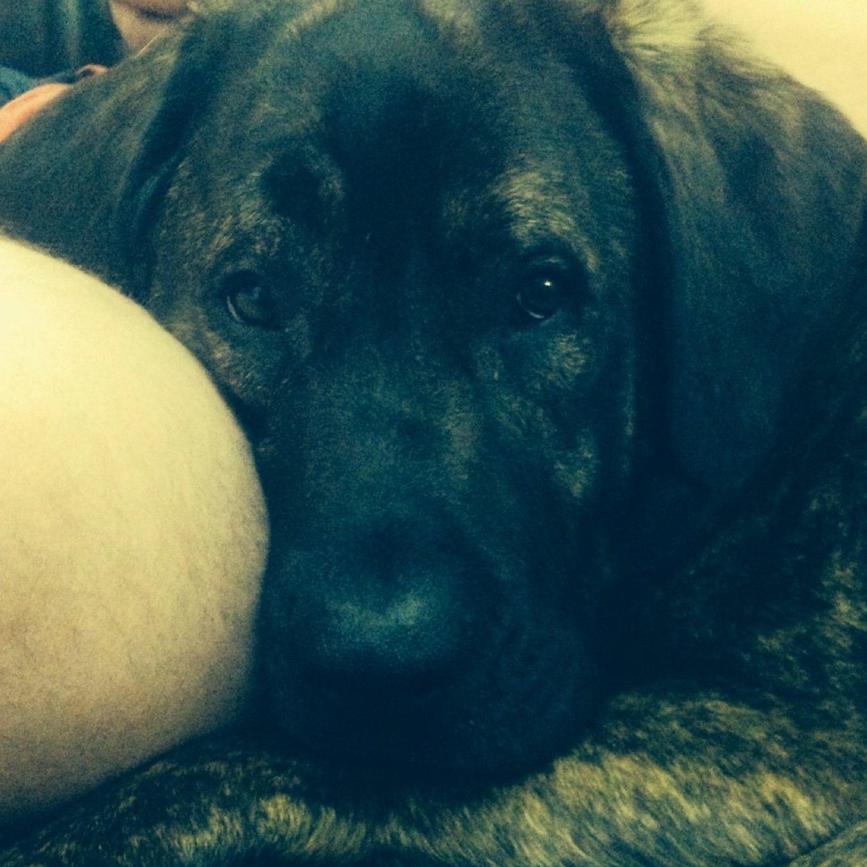 KevJRac's profile picture. That comedy writer.