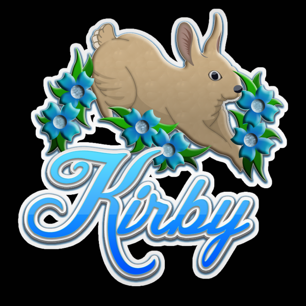 GixxerKirby's profile picture. 