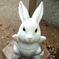 あっこ (@ayat0r1) 's Twitter Profile