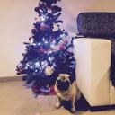 felipe postigo - @felipepostigo - Twitter