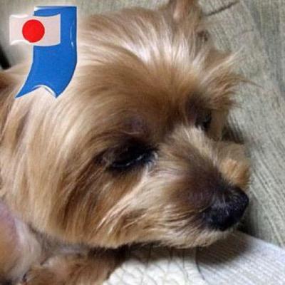 札幌にいます。よろしくお願い致します。