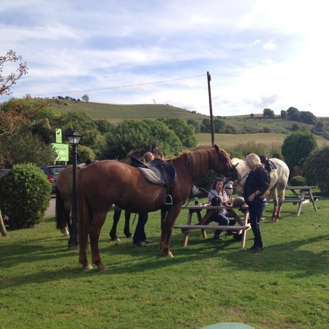 CountryInn_'s profile picture. Great food, Great service and a Great Atmosphere.. Come and see for yourself!