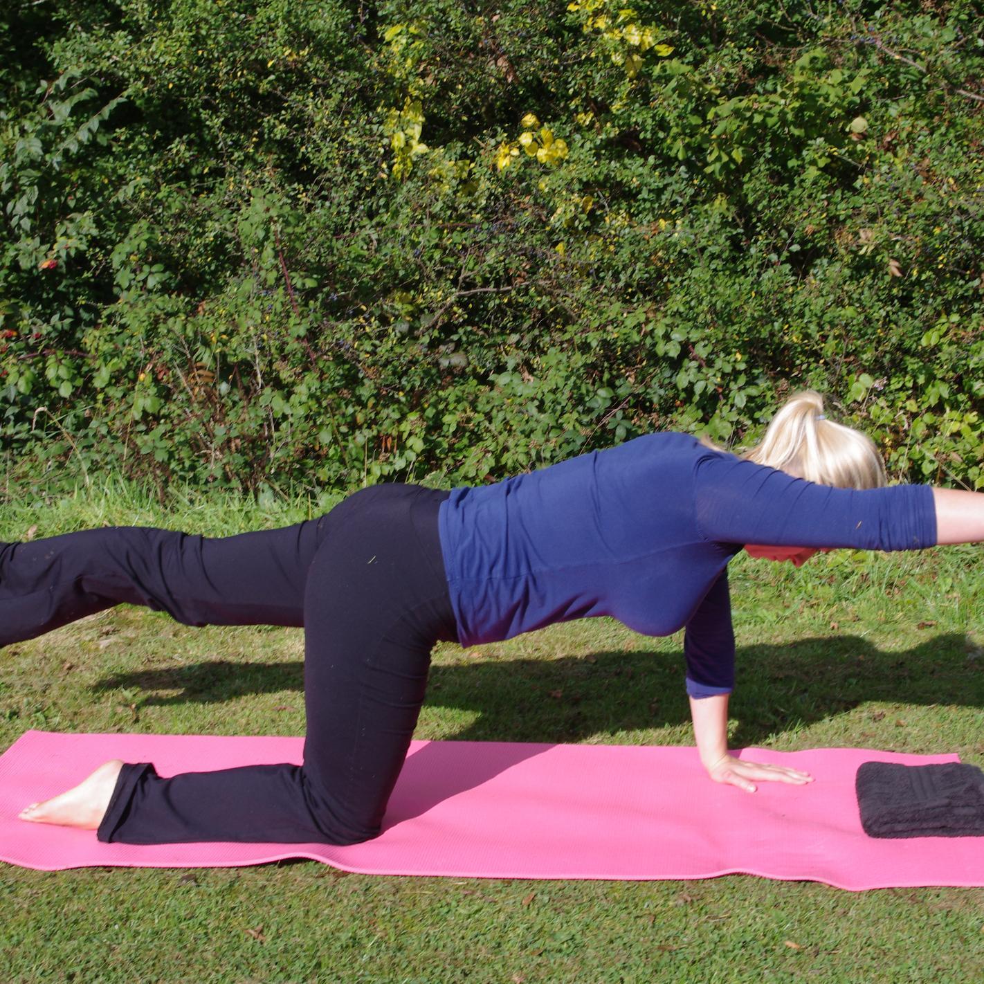 thepilatesseed's profile picture. Physiotherapy, Pilates and all things related