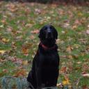 Vicki Ferrell - @slowlane53 - Twitter