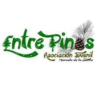 AsJu EntrePinos (@asjuentrepinos) 's Twitter Profile