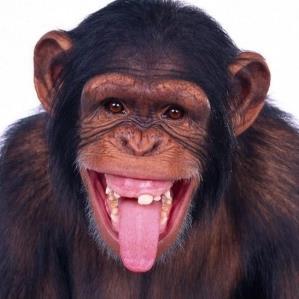 GretaBosmans's profile picture. 