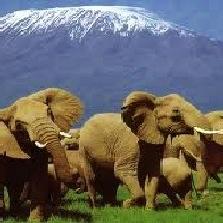 Domestic Tourist Promoting Kenyan Domestic Tourism!