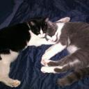 Jayme Gray - @JayJaeGray - Twitter