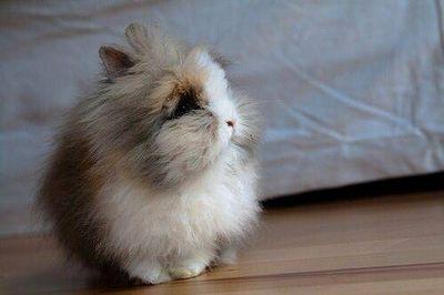 yashirokumi8000's profile picture. お酒、たべること、綺麗な景色が好き🍴田澤孝介さん、ミルクボーイ、渋谷凪咲ちゃんが好きです🎙️配信をみたり音楽をきくことが好きです🎵 アラフォーの新米母さんです👩‍🦰卵巣腫瘍が産後見つかり開腹手術済🏥無言フォロー失礼します🙇‍♀️不安な時にポストするので基本ネガティブポストです💦誤字多くてすいまけん