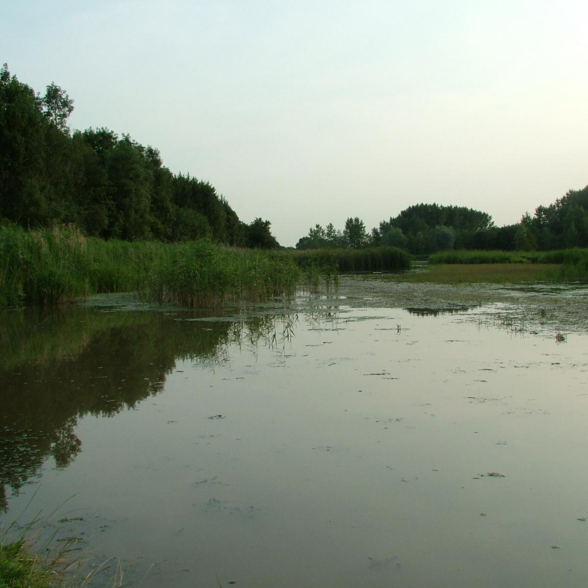 fotograaf