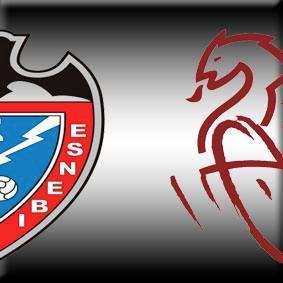 RayoFesa's profile picture. 