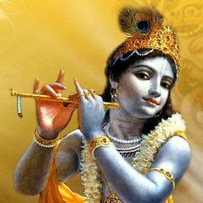 2400f6651c06443's profile picture. 