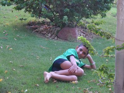 pcdoc556's profile picture. 