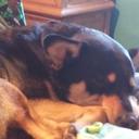 Gail Cherry - @29f562327e9a49f - Twitter