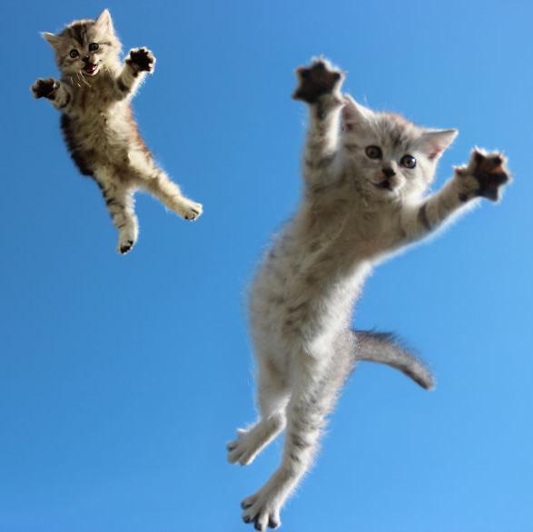 Titine71's profile picture. Translator and sailor. Globetrotter (never enough...). Reading addict. Fond of photography. Cats' lover. Lazy.