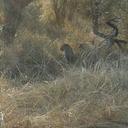 Marlene Kirkpatrick - @marlenekirkpat1 - Twitter