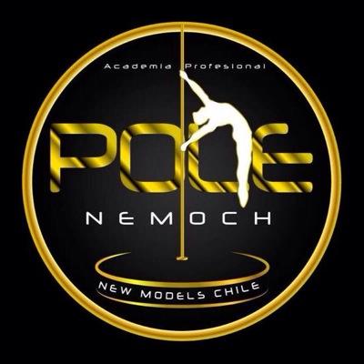 Academia Profesional De Pole Dancer's Chile - La Serena